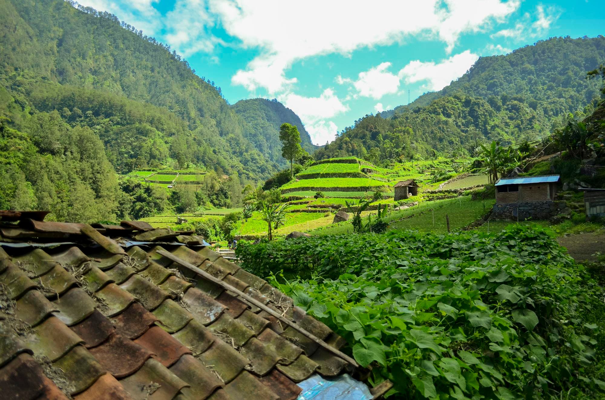 Dirang highlight