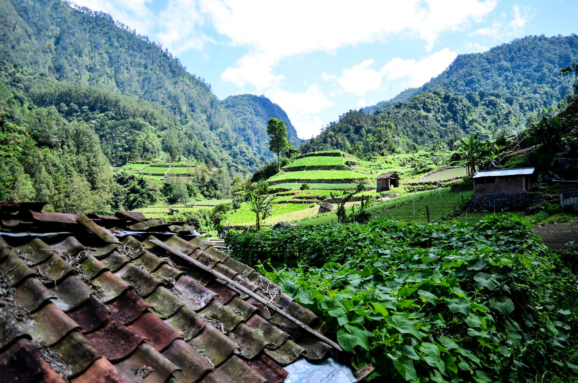 Dirang